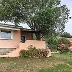 Lovely House