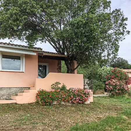 Lovely House